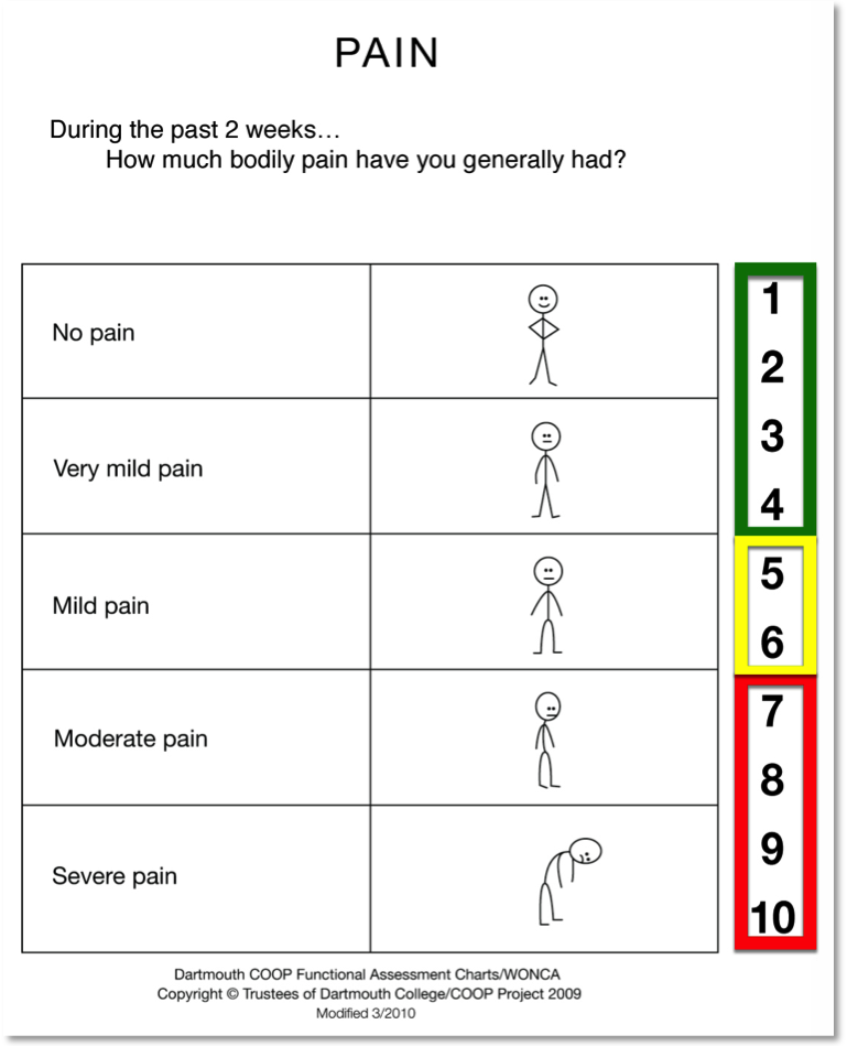 Pain Level Scale from 1 (no pain) to 10 (severe pain)